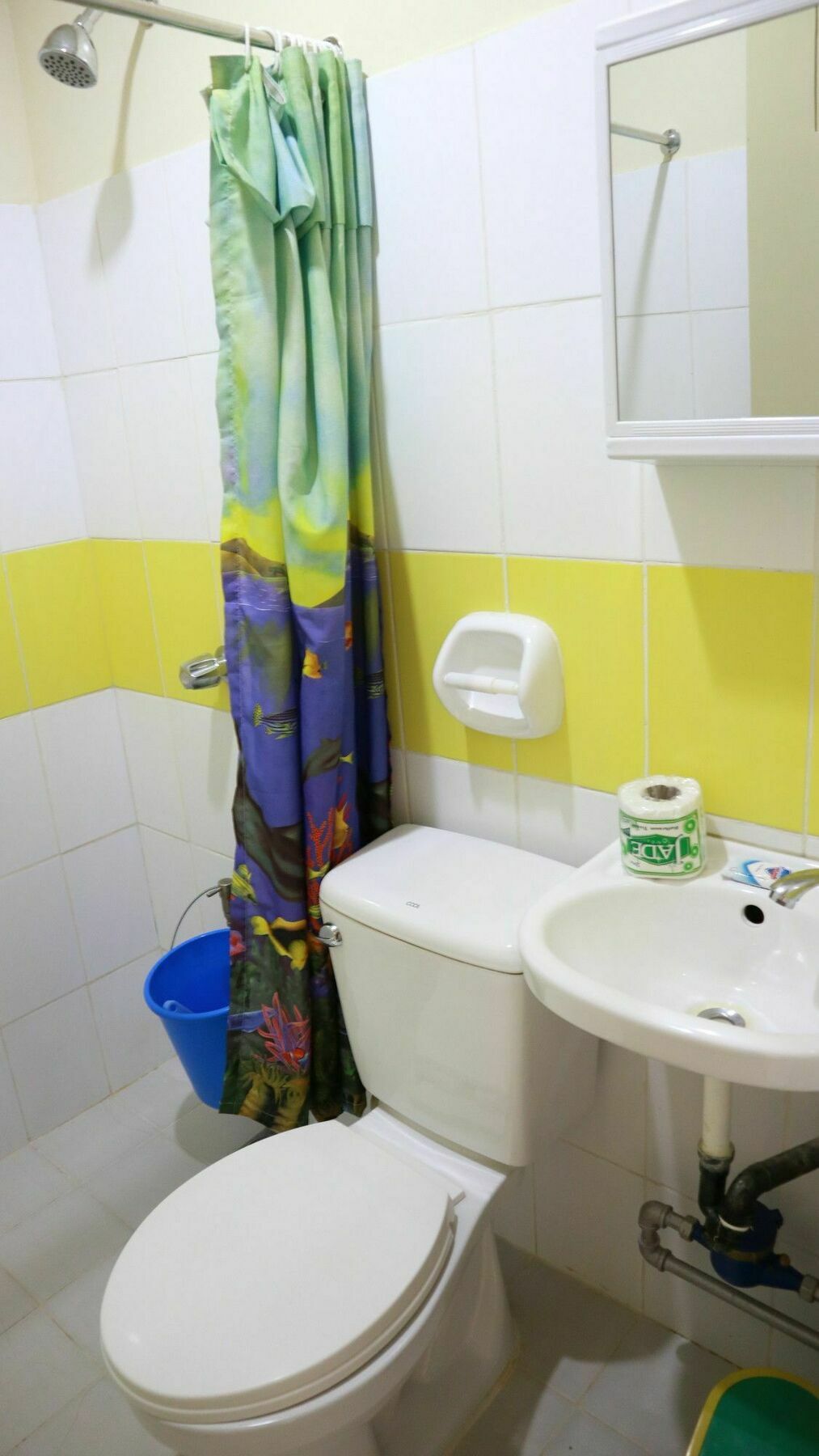 C Tower Studio Apartments Puerto Princesa Exterior photo